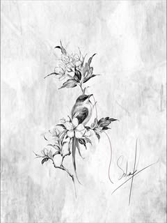 Feine Vorzeichnung eines Vogel-Motivs mit Blüten